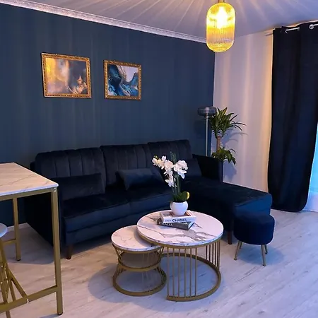 Perle Rare   le Cosy De Cdg  Appartement Le Blanc-Mesnil