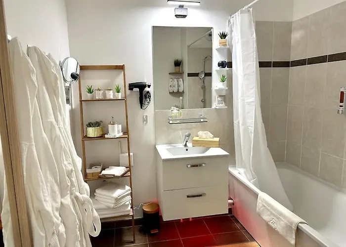 Perle Rare   le Cosy De Cdg  Appartement