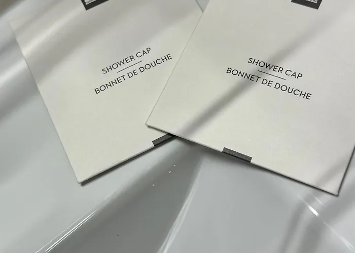 Appartement Perle Rare   le Cosy De Cdg  Le Blanc-Mesnil